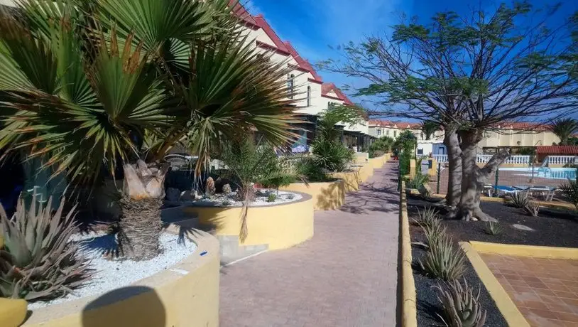 Green Oasis by the pool