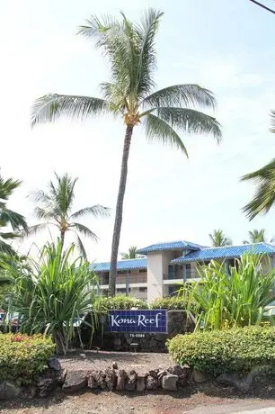 Kona Reef Hawaii by Raintree