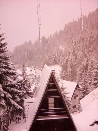 Kopaonik Smestaj Povoljan VILAIVA