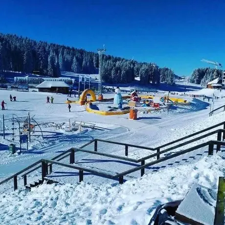 Apartmani u Vili Kopaonik