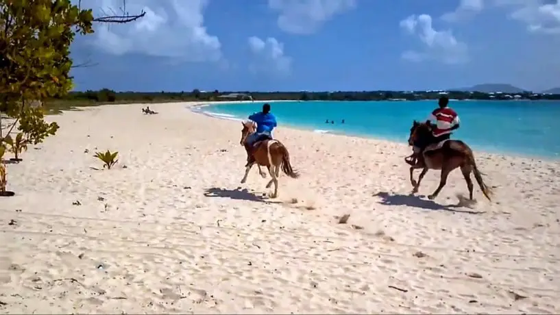 White Sands Anguilla