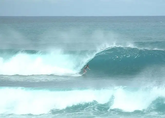 Kokoplaj A 150m De La Plage Et Du Spot De Surf