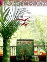 Puri Kasih Gottlieb 