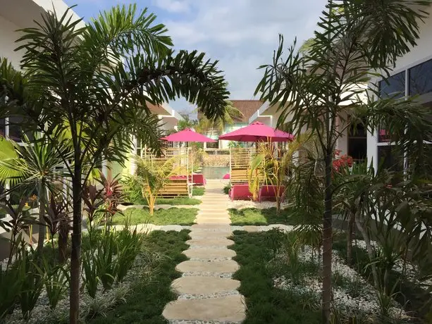 Flamingo Lombok 