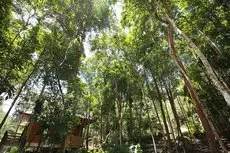 Homestay - Chestnut Hill Eco Resort