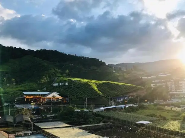 Cameron Highlands Modern7-Tea Plantation View-Premium Hotel Bed