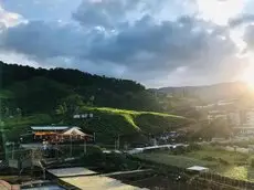 Cameron Highlands Modern7-Tea Plantation View-Premium Hotel Bed 