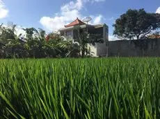 Bali Burung Bungalow Canggu 