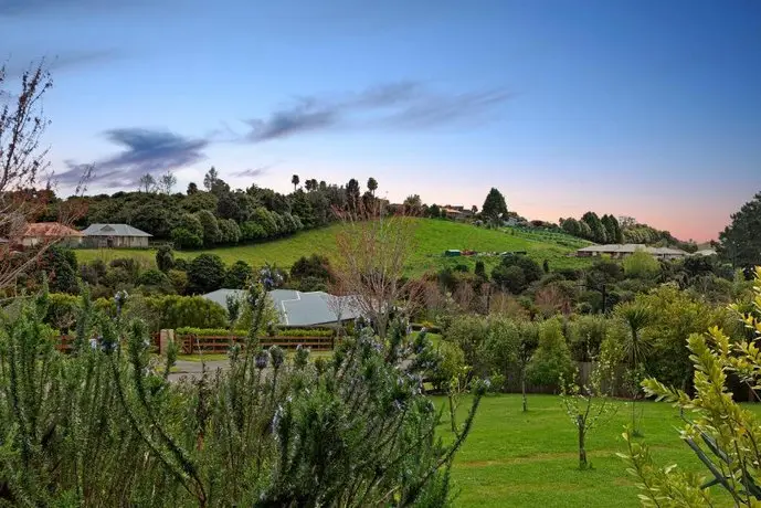 Parrot Nest Tauranga