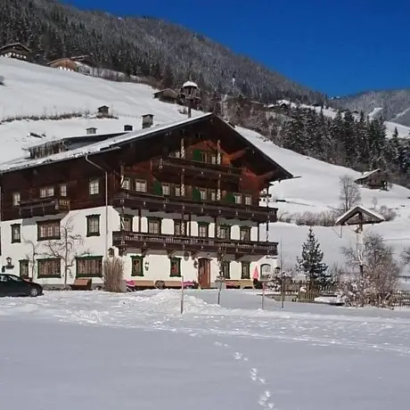 Finkenhof Wald im Pinzgau