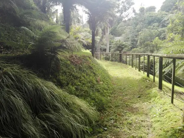 Taranaki Experience