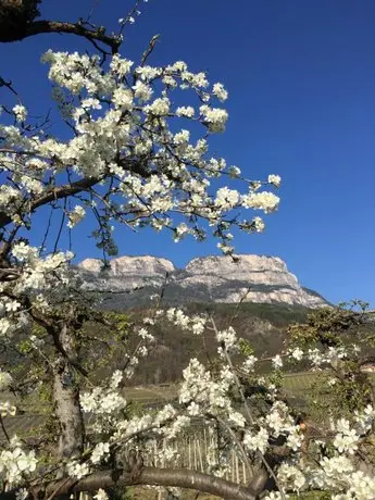 Mairhof Eppan an der Weinstrasse