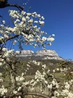 Mairhof Eppan an der Weinstrasse 