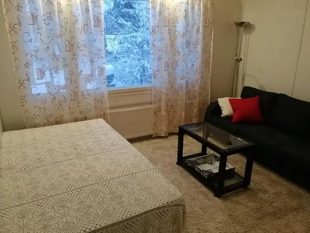 Spacious appartment near city center