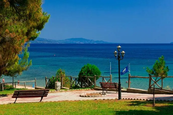 Metamorfosi pine forest view