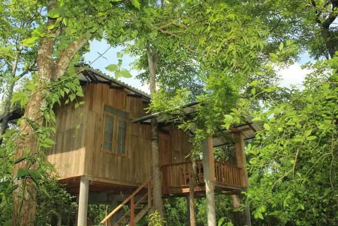 Ruk Sewana Villa Tree House