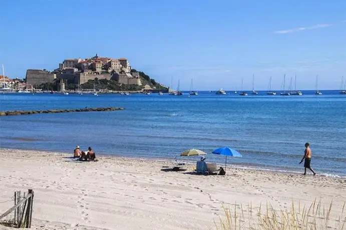 Le Cedrat Calvi