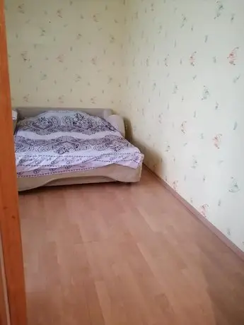 Grodno Apartment BIG