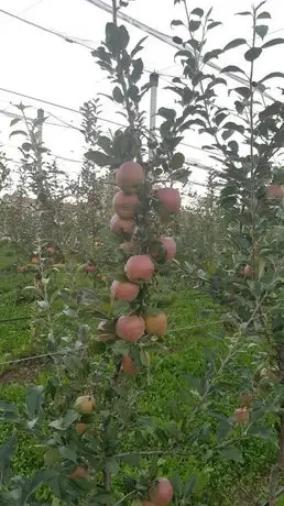 Agriturismo La Giasena Camere E Colazioni