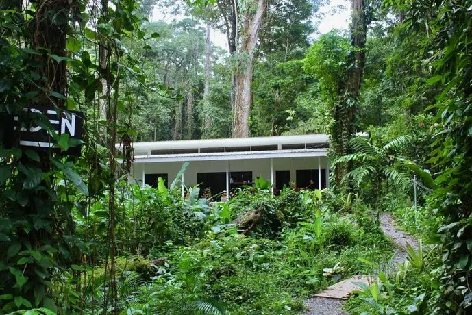 Peaceful Private and Modern Jungle Studio