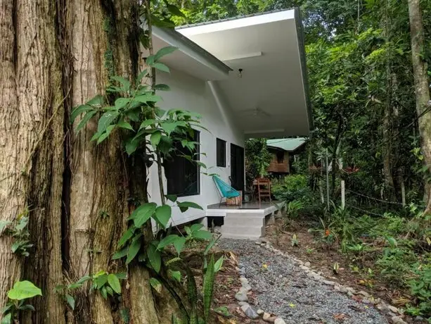 Peaceful Private and Modern Jungle Studio 