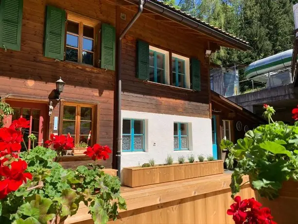 Wohnung im Chalet Schiltwald direkt beim Sessellift