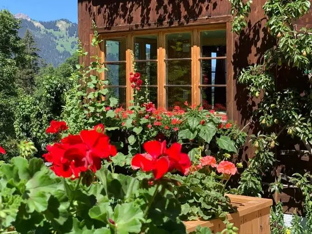 Wohnung im Chalet Schiltwald direkt beim Sessellift