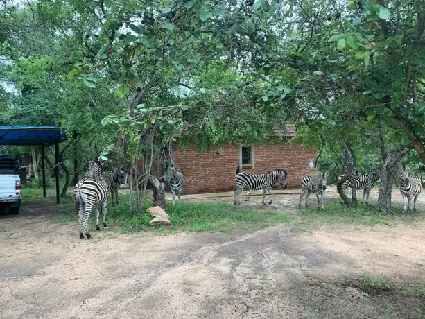 Umhlanga Kruger