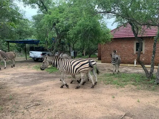 Umhlanga Kruger