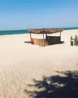 JellyTrees Beach Camping 