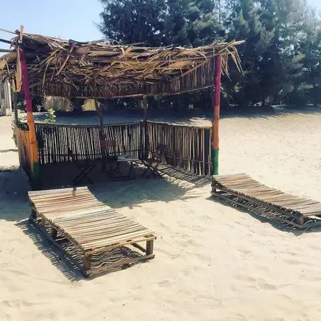 JellyTrees Beach Camping