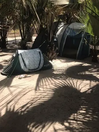 JellyTrees Beach Camping