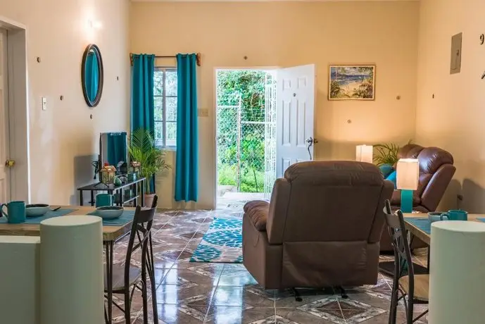 Spacious Vacation Apt in Negril