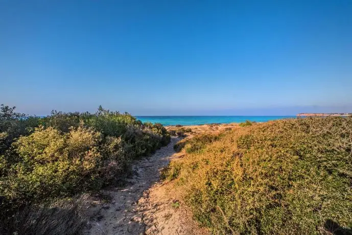 Halu Athena - Unique Beach Home Surrounded By Nature