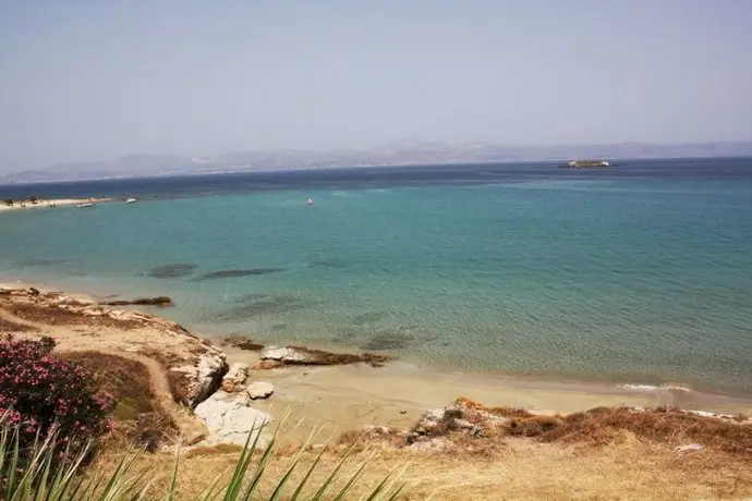 Paros Blue Dolphin 