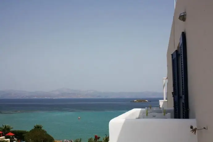 Paros Blue Dolphin 