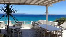 Paros Blue Dolphin 