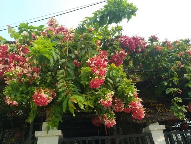 Spring Garden Hoi An 